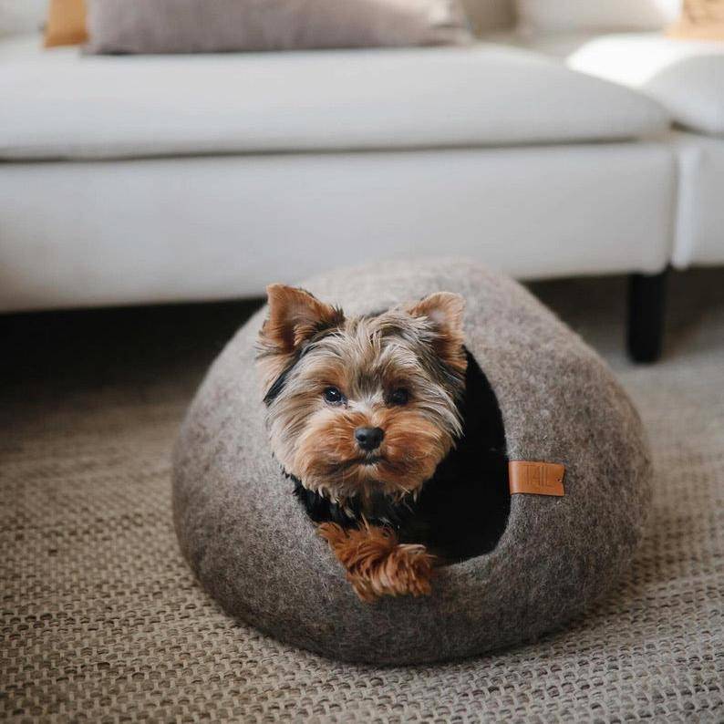 Cassius Katzenbett – Mittel