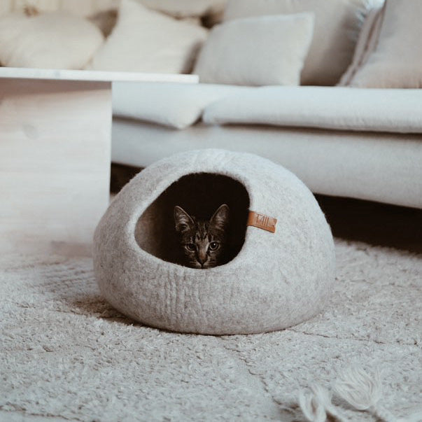 Cassius Katzenbett – Mittel